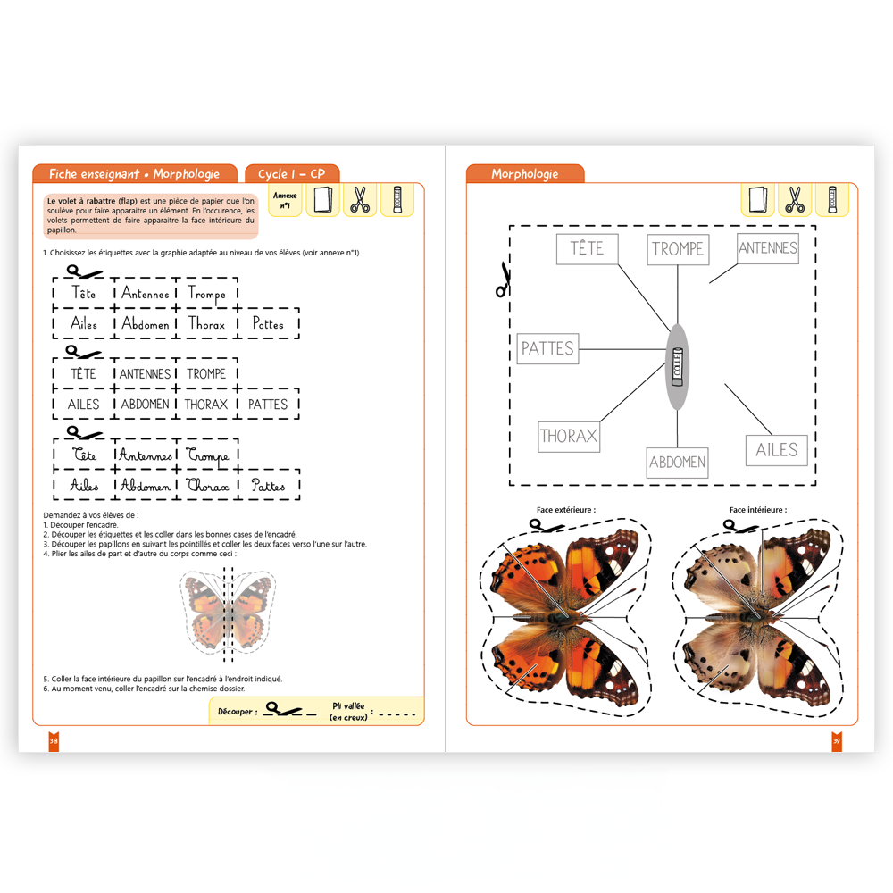 Créer des lapbooks : les papillons
